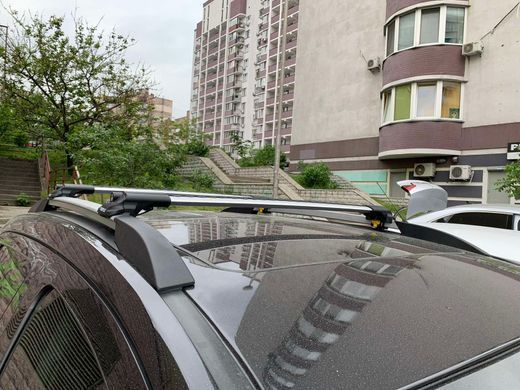 Поперечки Turtle Skoda Karoq 2018- на рейлінги, Хром