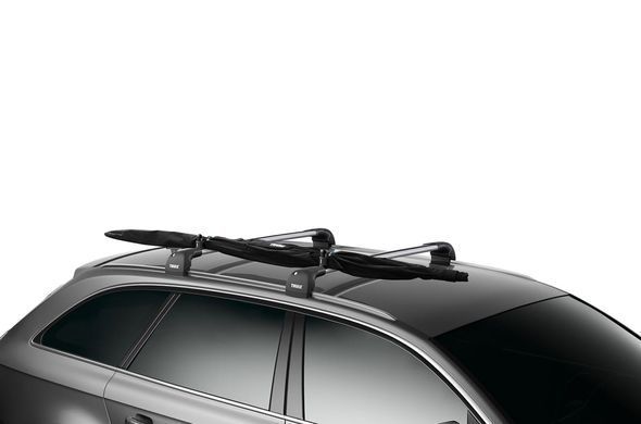 Чехол Thule SkiClick Full Size Bag 7295 (TH 7295)
