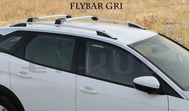 Поперечины Erkul Flybar v1 110см серые универсальные без замка, Серебристый