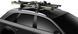 Крепление лыж/сноубордов Thule SnowPack Extender 7325 Black (TH 7325B)