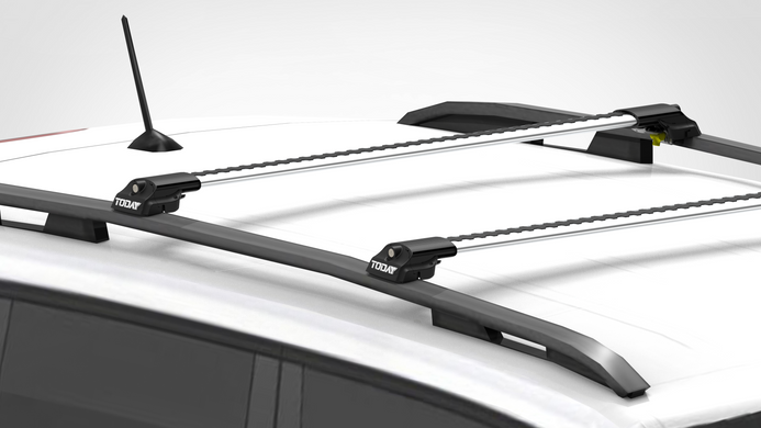 Багажник Peugeot Landtrack 2019- Today AIR1 на рейлінги, Сірий