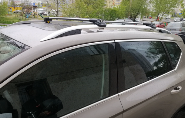Поперечки Turtle Hyundai Venue 2020- на рейлінги, Хром