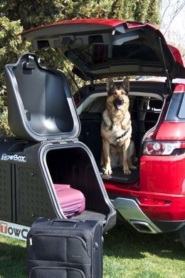 Бокс на фаркоп TowCar TowBox V2 Black (TC T2X000N)
